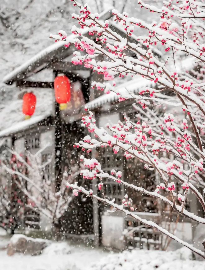 香水、身体炸划算还有节日限定香薰、香包不朽情缘平台登录网页香香好物丨欧珑正装(图28)