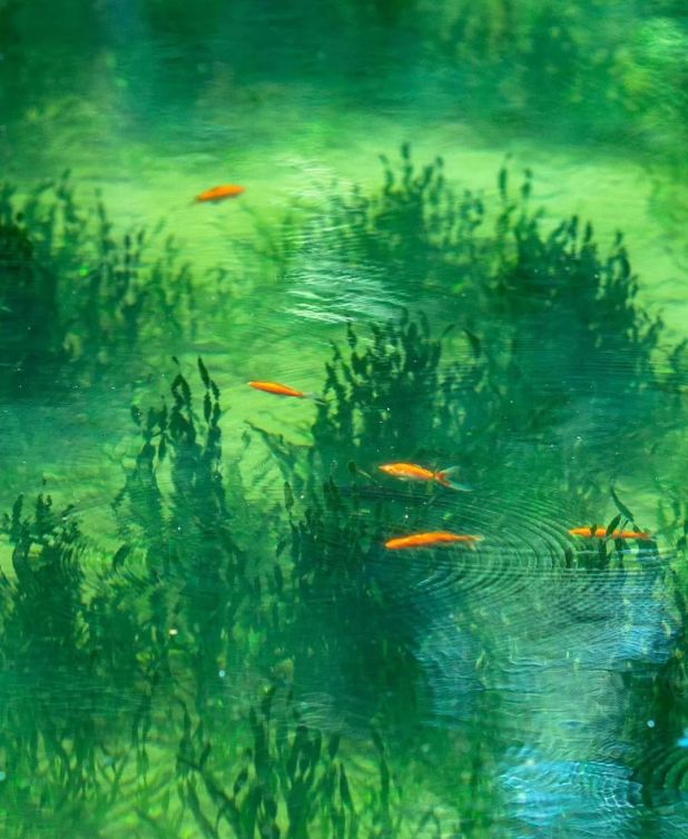 香水、身体炸划算还有节日限定香薰、香包不朽情缘平台登录网页香香好物丨欧珑正装(图48)