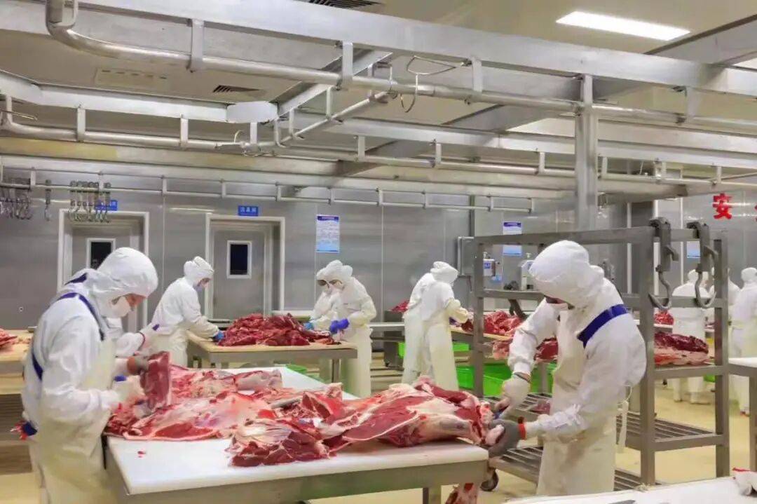 背后的寻甸乡村振兴“牛文章”不朽情缘首页一份“体检报告”